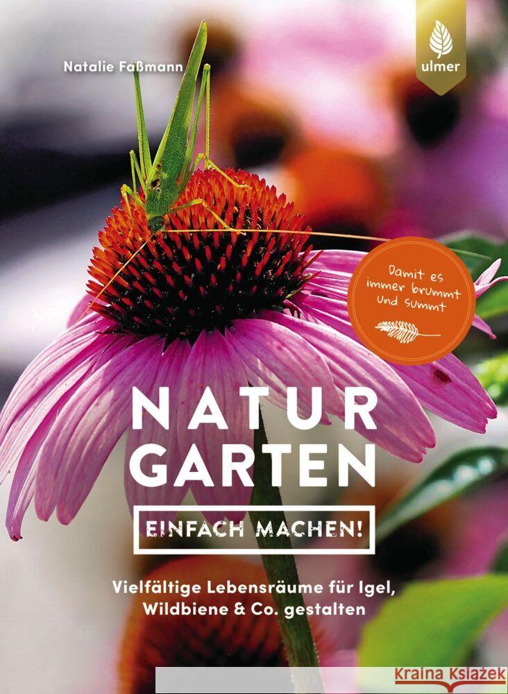 Naturgarten - einfach machen! Faßmann, Natalie 9783818616304 Verlag Eugen Ulmer - książka