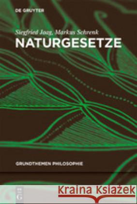Naturgesetze Siegfried Jaag Markus Schrenk 9783110516784 de Gruyter - książka