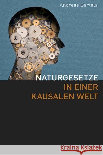 Naturgesetze in Einer Kausalen Welt Bartels, Andreas 9783957430250 mentis-Verlag - książka