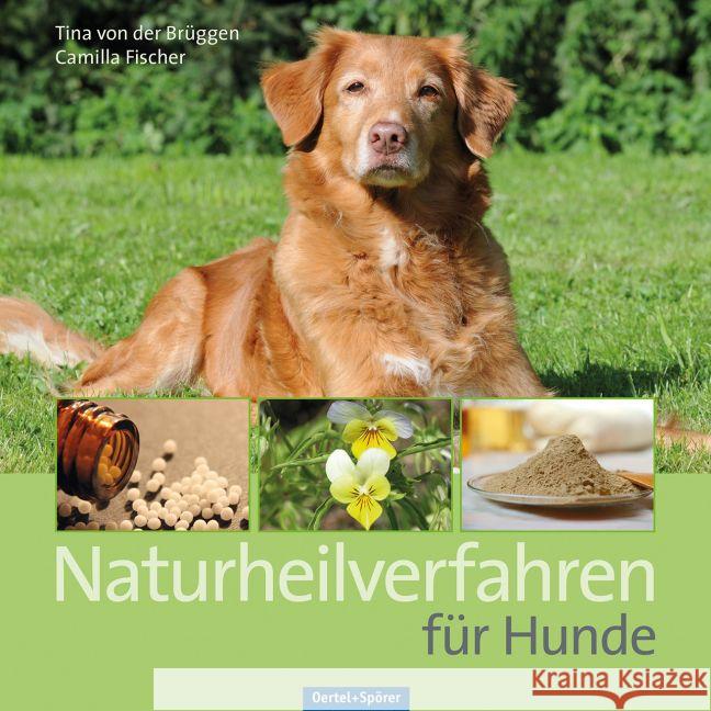 Naturheilverfahren für Hunde Brüggen, Tina von der; Fischer, Camilla 9783886278701 Oertel & Spörer - książka