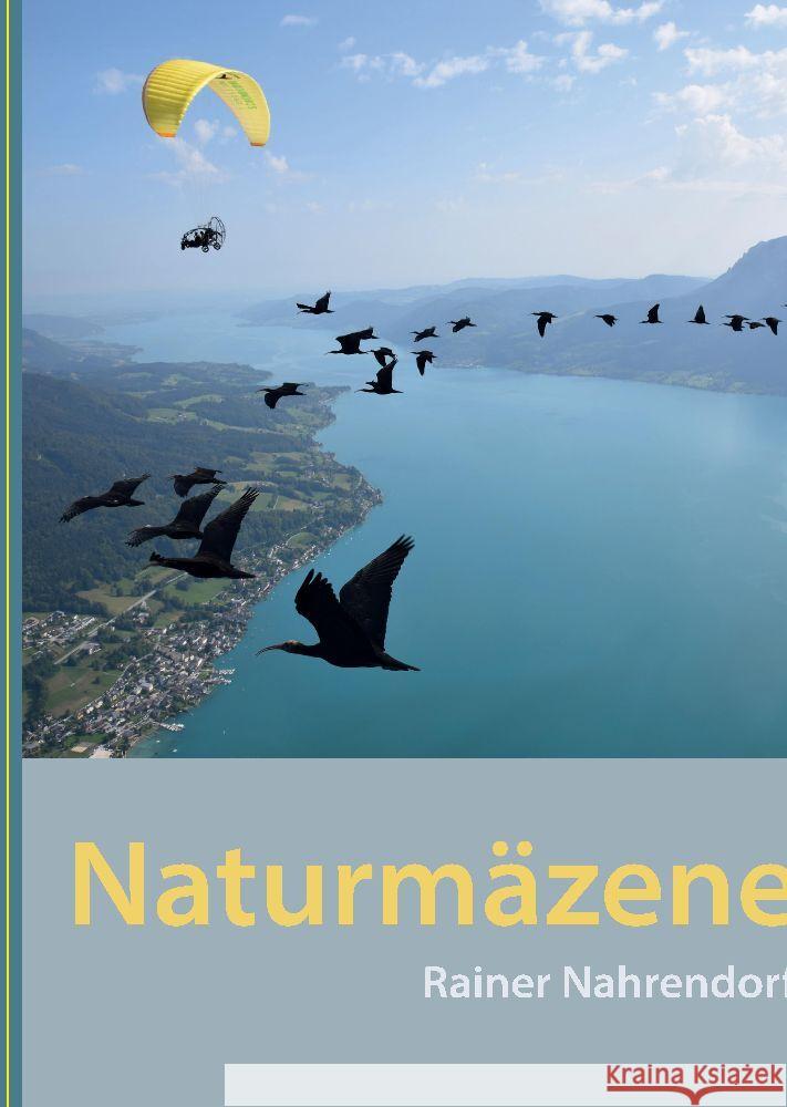 Naturmäzene Nahrendorf, Rainer 9783384027542 tredition - książka
