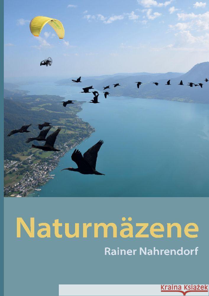 Naturmäzene Nahrendorf, Rainer 9783384027719 tredition - książka