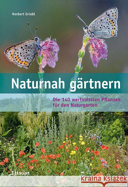 Naturnah gärtnern : Die 140 wertvollsten Pflanzen für den Naturgarten Griebl, Norbert 9783258078809 Haupt - książka