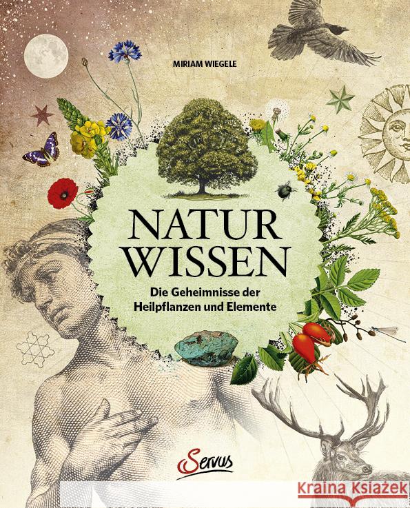 Naturwissen Wiegele, Miriam 9783710403330 Servus - książka