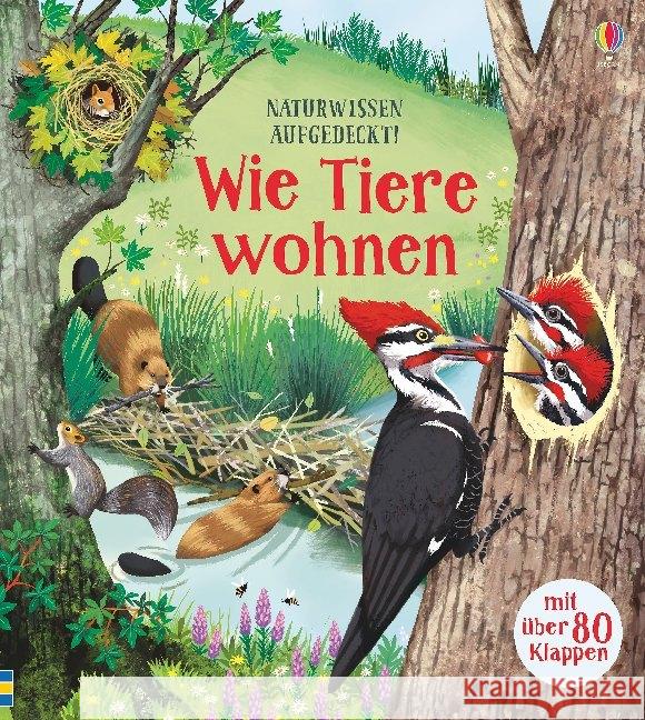 Naturwissen aufgedeckt! - Wie Tiere wohnen : Mit über 80 Klappen Bone, Emily 9781789411409 Usborne Verlag - książka