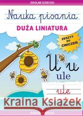 Nauka pisania. Duża liniatura. Zeszyt do ćwiczeń Beata Guzowska 9788382605228 LITERAT - książka