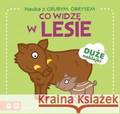 Nauka z grubym obrysem. Co widzę w lesie Lidia Szwabowska 9788382409673 Zielona Sowa - książka