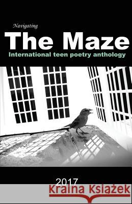 Navigating the Maze Anita Stienstra 9780997987300 Adonis Designs Press - książka