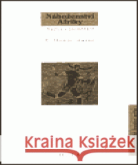 Náboženství Afriky E. Thomas Lawson 9788072600014 Prostor - książka