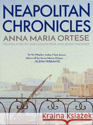 Neapolitan Chronicles Ana Maria Ortese Ann Goldstein Jenny McPhee 9781939931511 New Vessel Press - książka