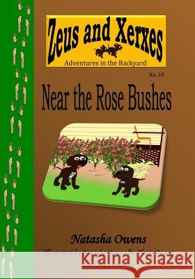 Near the Rose Bushes Natasha Owens Natasha Owens Alexis Owens 9781522730163 Createspace Independent Publishing Platform - książka