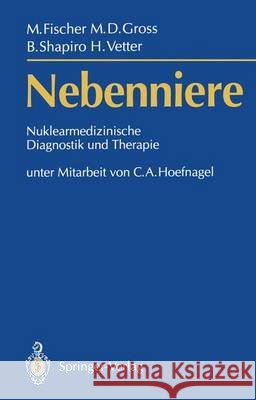 Nebenniere --: Nuklearmedizinische Diagnostik Und Therapie Hoefnagel, C. a. 9783540509806 Not Avail - książka