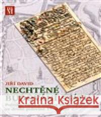 Nechtěné budování státu Jiří David 9788087709214 Matice moravská - książka