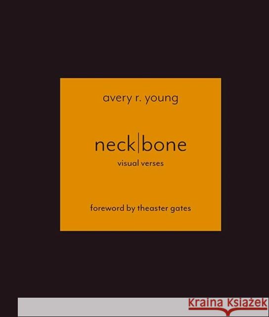 Neckbone: Visual Verses Avery R. Young Theaster Gates 9780810140523 Triquarterly Books - książka