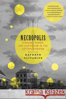 Necropolis: Disease, Power, and Capitalism in the Cotton Kingdom  9780674295551 Harvard University Press - książka