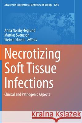 Necrotizing Soft Tissue Infections: Clinical and Pathogenic Aspects Anna Norrby-Teglund Mattias Svensson Steinar Skrede 9783030576158 Springer - książka