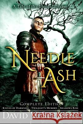 Needle Ash Brad Lynn David Van Dyke Stewart 9781794275539 Independently Published - książka