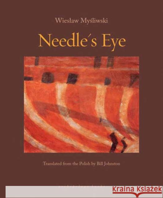 Needle's Eye Bill Johnston 9781962770392 Archipelago Books - książka