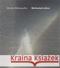 Neřestné ulice VÃ¡clav BÃ¶hmsche 9788072273478 DruhÃ© mÄ›sto - książka