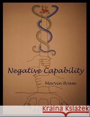 Negative Capability Marvin Bram 9780615570372 Marvin Bram - książka