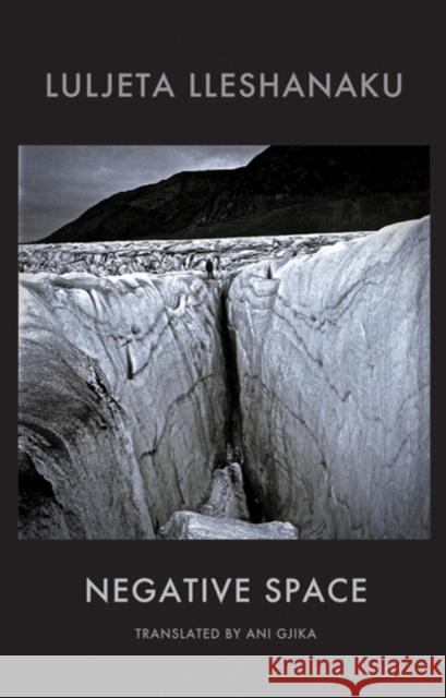 Negative Space Luljeta Lleshanaku 9781780374123  - książka