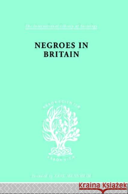 Negroes in Britain : A Study of Racial Relations in English Society Kenneth Little Leonard Bloom 9780415176309 Routledge - książka