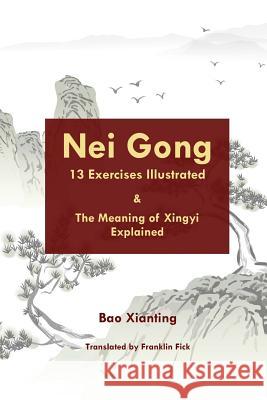 Nei Gong 13 Exercises Illustrated and the Meaning of Xing Yi Explained Xianting Bao Franklin Fick 9781725668379 Createspace Independent Publishing Platform - książka