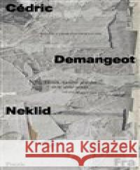 Neklid Cédric Demangeot 9788075212177 Fra - książka