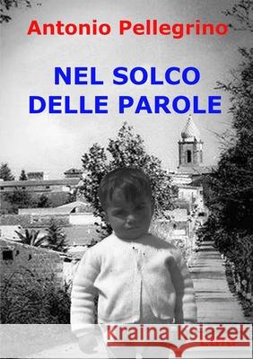 NEL SOLCO DELLE PAROLE Antonio Pellegrino 9780244235086 Lulu.com - książka
