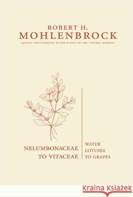 Nelumbonaceae to Vitaceae: Water Lotuses to Grapesvolume 4 Mohlenbrock, Robert H. 9780809328949 Southern Illinois University Press - książka