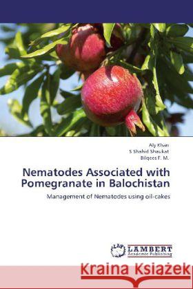 Nematodes Associated with Pomegranate in Balochistan Dr Aly Khan, Dr, S Shahid Shaukat, Bilqees F M 9783848431908 LAP Lambert Academic Publishing - książka