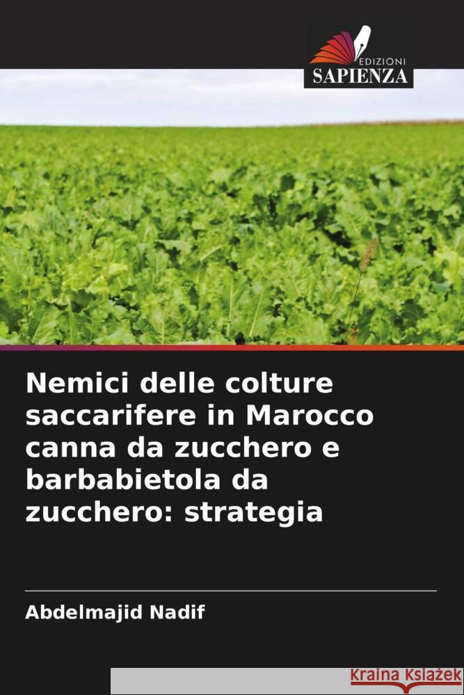 Nemici delle colture saccarifere in Marocco canna da zucchero e barbabietola da zucchero: strategia Abdelmajid Nadif   9786206191209 Edizioni Sapienza - książka