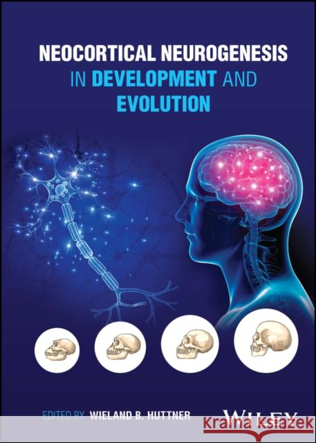 Neocortical Neurogenesis in Development and Evolution  9781119860808 John Wiley & Sons Inc - książka