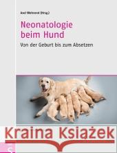 Neonatologie beim Hund : Von der Geburt bis zum Absetzen  9783899930849 Schlütersche - książka