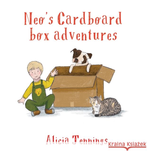 Neo's Cardboard Box Adventures Alicia Jennings 9781398497986 Austin Macauley - książka