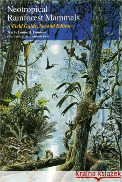 Neotropical Rainforest Mammals: A Field Guide Emmons, Louise H. 9780226207216 University of Chicago Press - książka