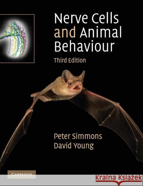 Nerve Cells and Animal Behaviour Peter J Simmons 9780521728485  - książka