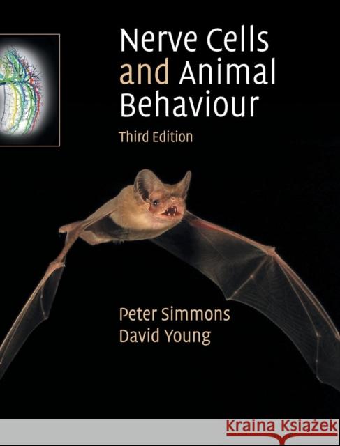 Nerve Cells and Animal Behaviour Peter J. Simmons David Young 9780521899772 Cambridge University Press - książka