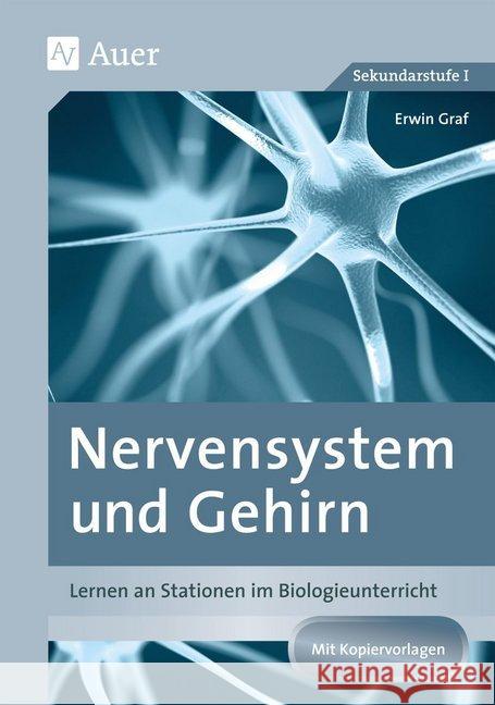 Nervensystem und Gehirn : Lernen an Stationen im Biologieunterricht (8. bis 10. Klasse). Mit Kopiervorlagen. Sekundarstufe I Graf, Erwin 9783403079293 Auer Verlag in der AAP Lehrerfachverlage GmbH - książka