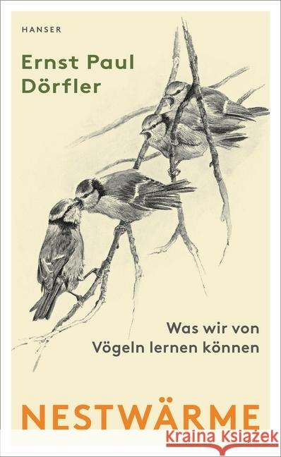 Nestwärme : Was wir von Vögeln lernen können Dörfler, Ernst Paul 9783446261853 Hanser - książka