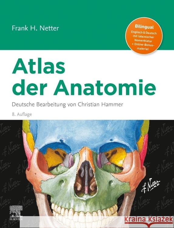 Netter Atlas der Anatomie Netter, Frank H. 9783437413384 Elsevier, München - książka