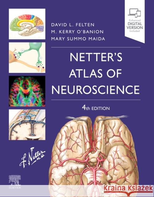 Netter's Atlas of Neuroscience David L. Felten Michael K. O'Banion Mary E. Maida 9780323756549 Elsevier - Health Sciences Division - książka