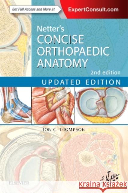 Netter's Concise Orthopaedic Anatomy, Updated Edition Jon C. (Staff Orthopaedic Surgeon, Irwin Army Community Hospital, Fort Riley, Kansas, USA) Thompson 9780323429702 Elsevier - Health Sciences Division - książka