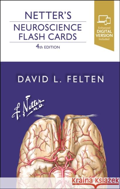 Netter's Neuroscience Flash Cards DAVID L. FELTEN 9780323756433 Elsevier - Health Sciences Division - książka