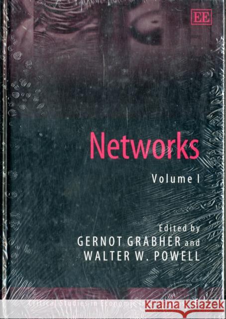 Networks  9781843760351 Edward Elgar Publishing Ltd - książka