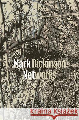 Networks Mark Dickinson 9781848617650 Shearsman Books - książka