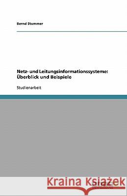 Netz- und Leitungsinformationssysteme: Überblick und Beispiele Bernd Stummer 9783638831277 Grin Verlag - książka