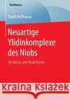 Neuartige Ylidinkomplexe Des Niobs: Synthese Und Reaktionen Hoffmann, David 9783658128135 Springer Spektrum