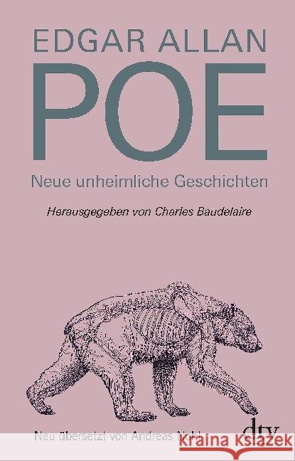 Neue unheimliche Geschichten : Neuübersetzung Poe, Edgar Allan 9783423282154 DTV - książka