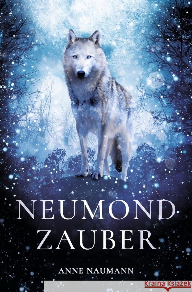 Neumondzauber Naumann, Anne 9783757920180 via tolino media - książka